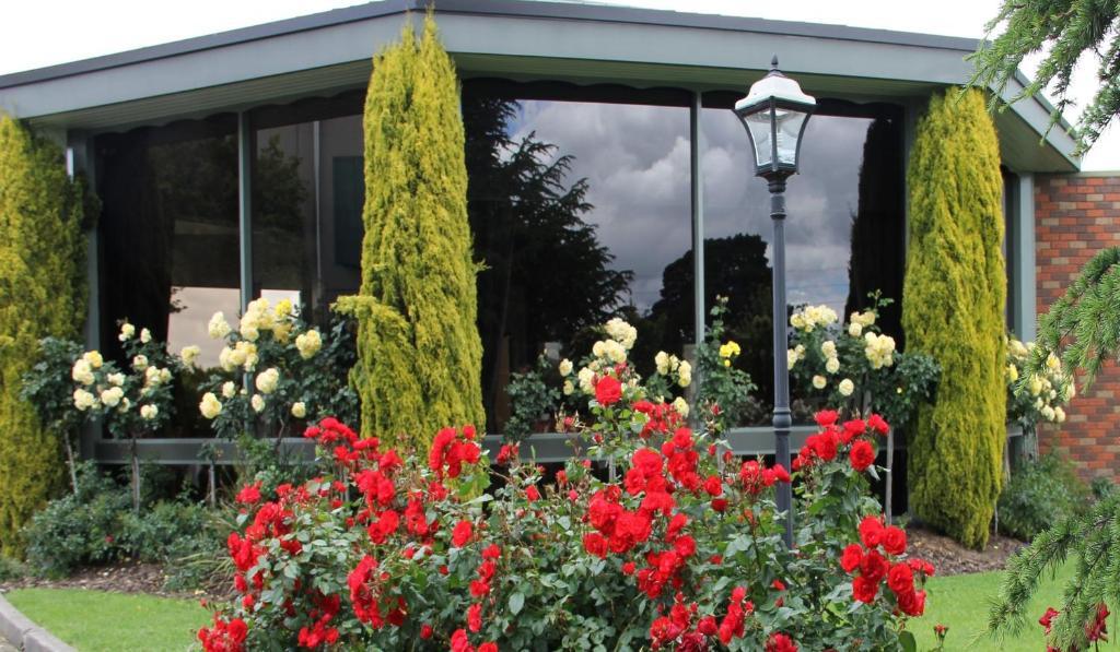 Cedar Lodge Motel Morwell Kültér fotó